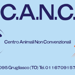 CANC – centro animali non convenzionali (Grugliasco)