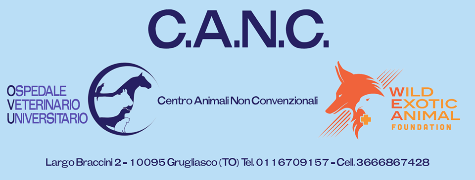CANC - centro animali non convenzionali (Grugliasco)